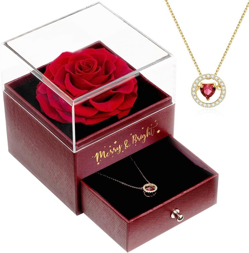Valentines Day Gift Eternal Preserved Rose, Real Fresh Redwine Rose with Heart Shape Necklace for Women Her Mum, Eternal Rose with Necklace on Anniversaiy Birthday Valentines Day Mothers Day